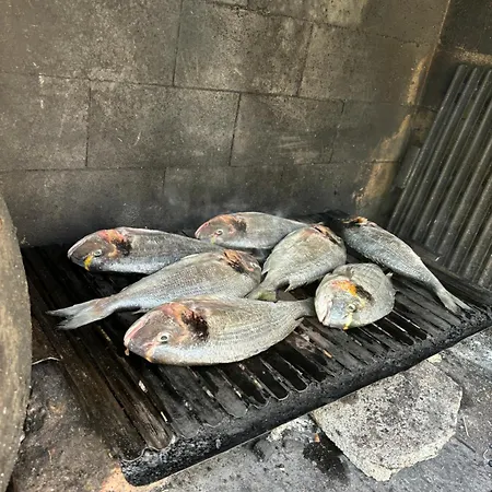 Seline, Pavić Apartament Seline