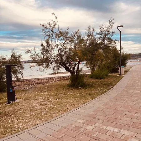 Apartament Seline, Pavić