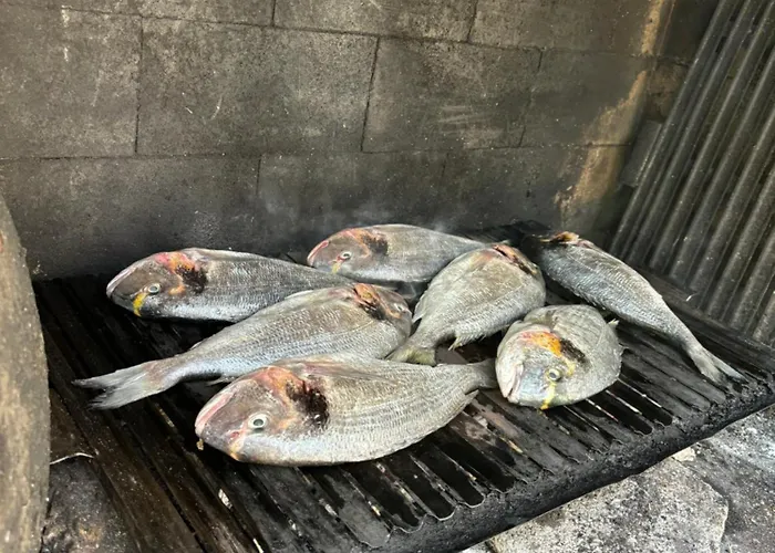 Seline, Pavic Apartment Seline