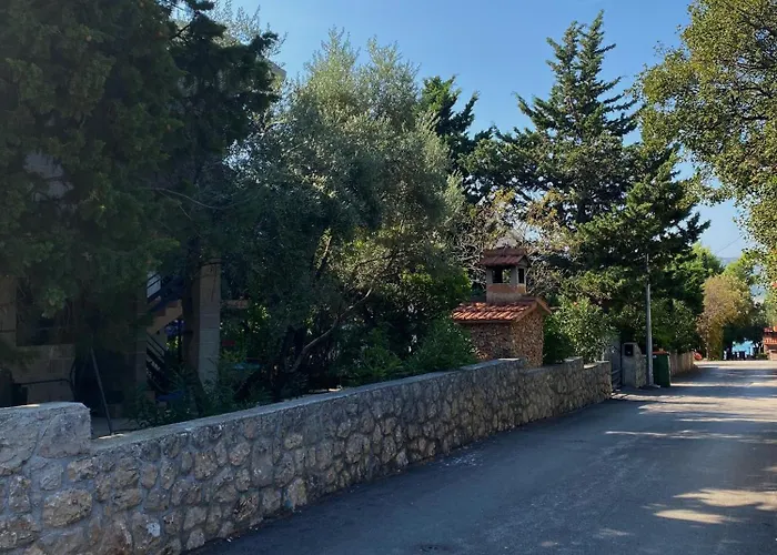 Seline, Pavic Seline