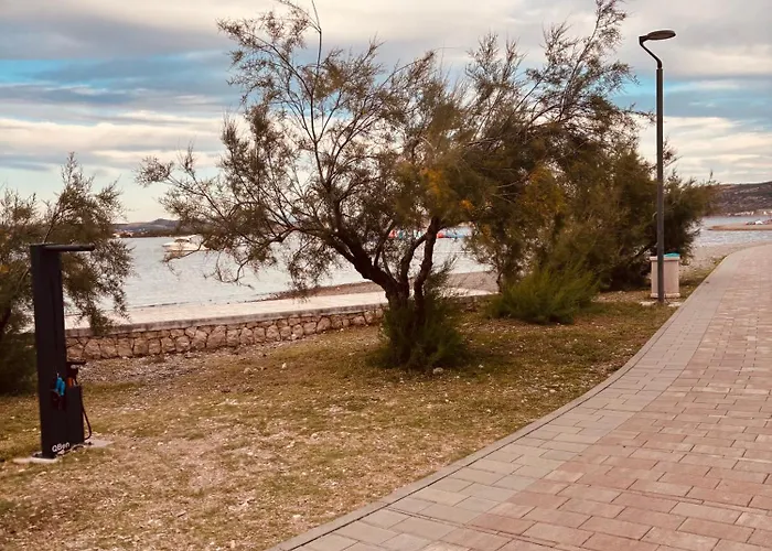 Apartman Seline, Pavic